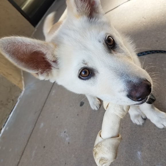 Meet your Posher, Meg - Picture 1 of 1